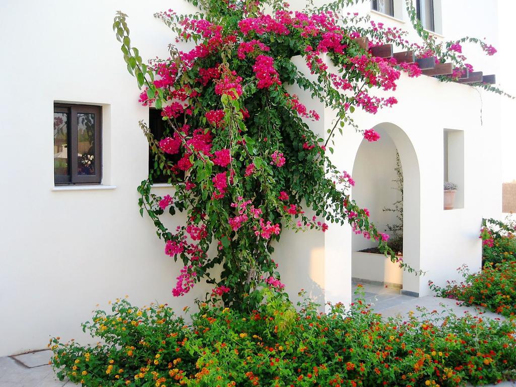 Aura Holiday Villas Paphos Kültér fotó